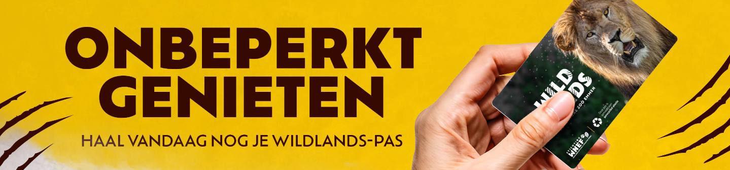 WILDLANDS-pas leeuw 